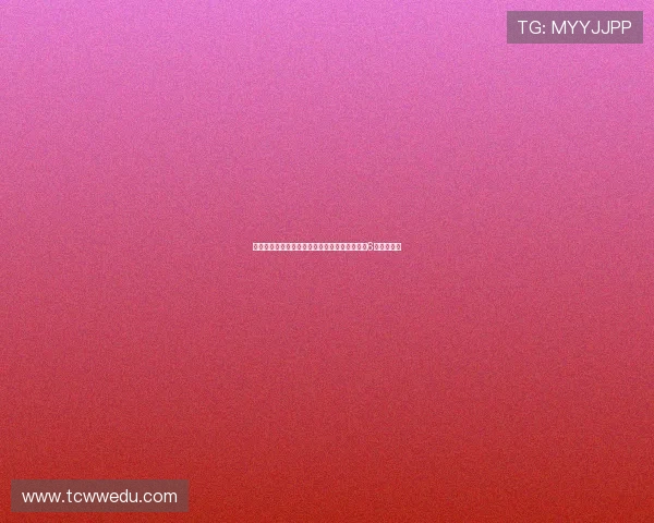 弗兰克谈接手后球队变化：帕利尼亚符合我们对6号位的需求